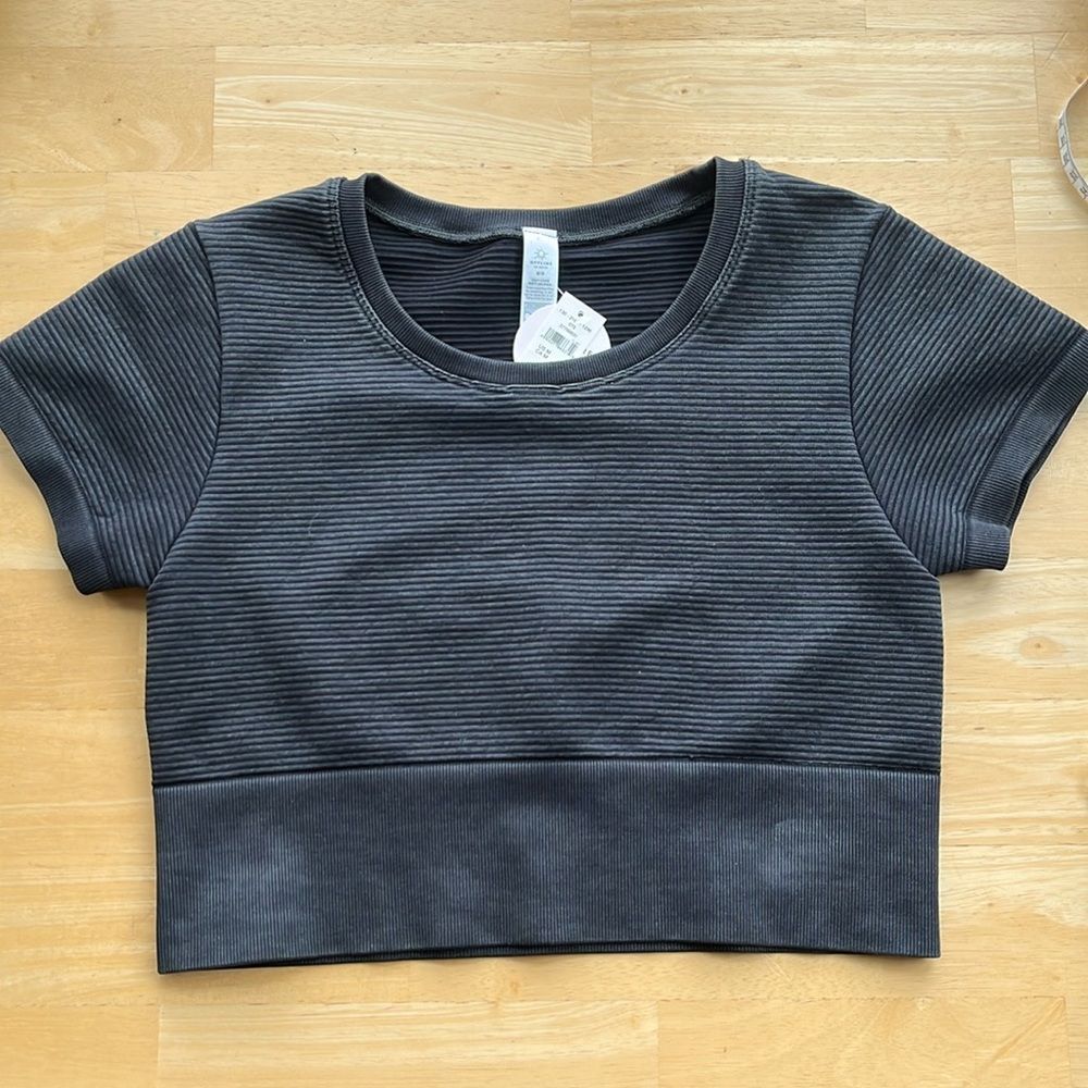 NWT AERIE Scoop Neck Cropped Ribbed Scuba Tee Medium